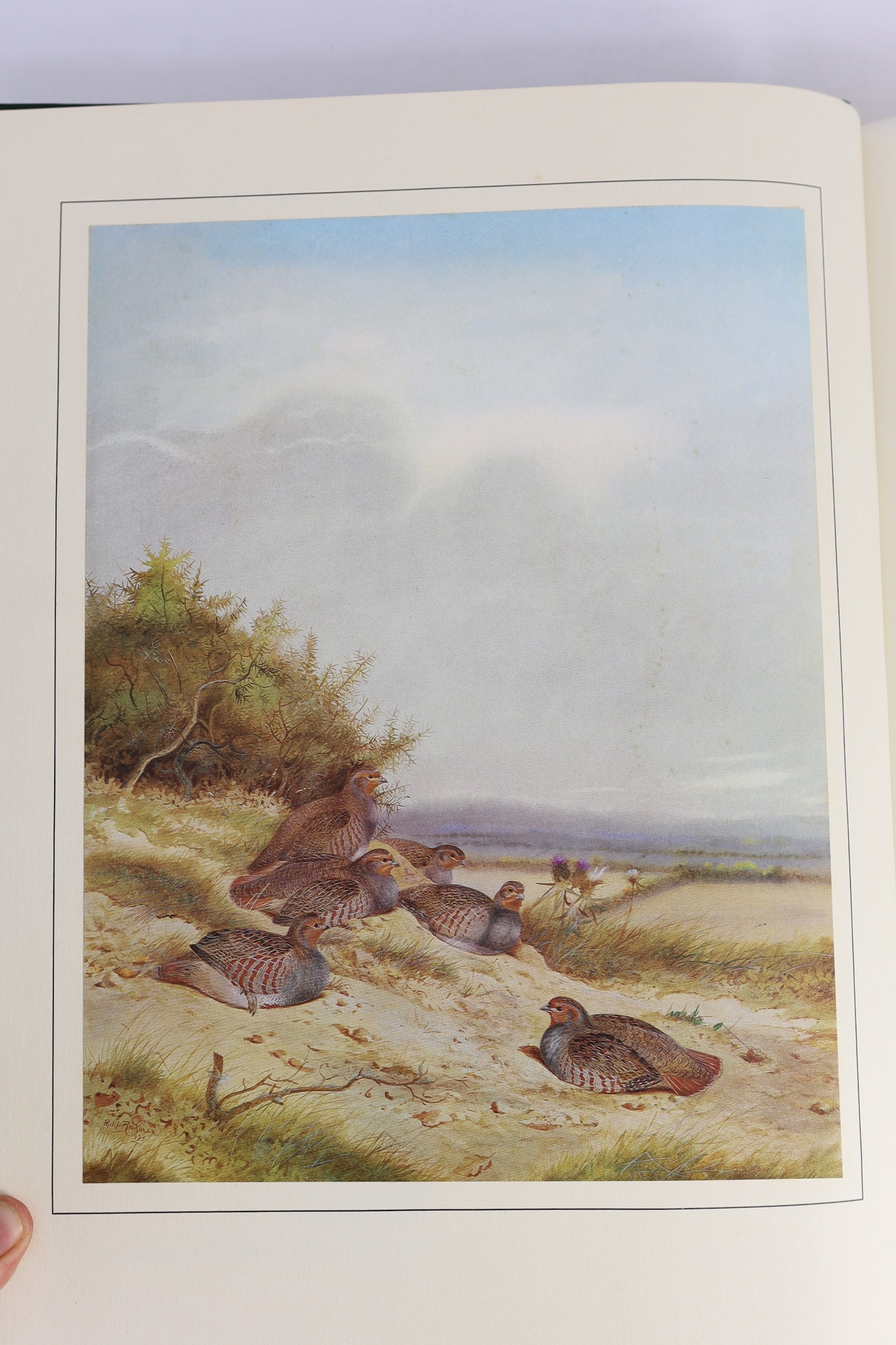 Rickman, Philip - A Selection of Bird Paintings and Sketches, folio, half green morocco, 463 of 500, signed by the artist author, with 31 colour plates, Curpotten Limited, 1979, in slip case.